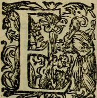An illustration from Americae pars sexta, siue, Historiæ ab Hieronymo Bezono Mediolanese scriptæ, sectio tertia : res nõ minus nobiles & admiratione plenas continens, quàm præcedentes duæ : in hac enim reperies, qua ratione Hispani opuletissimas illas Peruäni regni prouincias occuparint, capto Rege Atabaliba : deide orta inter ipsos Hispanos in eo regno ciuilia bella : additus est breuis de fortunatis insulis cõmentariolus in duo capita distinctus : item additiones ad singula capita historiam illustrantes : accesit Perväni regni chorographica tabula ... : omnia elegantibus figuris in æs incisis expressa ; (1596)