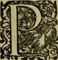 An illustration from Americae pars sexta, siue, Historiæ ab Hieronymo Bezono Mediolanese scriptæ, sectio tertia : res nõ minus nobiles & admiratione plenas continens, quàm præcedentes duæ : in hac enim reperies, qua ratione Hispani opuletissimas illas Peruäni regni prouincias occuparint, capto Rege Atabaliba : deide orta inter ipsos Hispanos in eo regno ciuilia bella : additus est breuis de fortunatis insulis cõmentariolus in duo capita distinctus : item additiones ad singula capita historiam illustrantes : accesit Perväni regni chorographica tabula ... : omnia elegantibus figuris in æs incisis expressa ; (1596)