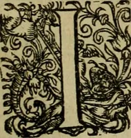 An illustration from Americae pars sexta, siue, Historiæ ab Hieronymo Bezono Mediolanese scriptæ, sectio tertia : res nõ minus nobiles & admiratione plenas continens, quàm præcedentes duæ : in hac enim reperies, qua ratione Hispani opuletissimas illas Peruäni regni prouincias occuparint, capto Rege Atabaliba : deide orta inter ipsos Hispanos in eo regno ciuilia bella : additus est breuis de fortunatis insulis cõmentariolus in duo capita distinctus : item additiones ad singula capita historiam illustrantes : accesit Perväni regni chorographica tabula ... : omnia elegantibus figuris in æs incisis expressa ; (1596)