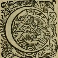 An illustration from Americae pars sexta, siue, Historiæ ab Hieronymo Bezono Mediolanese scriptæ, sectio tertia : res nõ minus nobiles & admiratione plenas continens, quàm præcedentes duæ : in hac enim reperies, qua ratione Hispani opuletissimas illas Peruäni regni prouincias occuparint, capto Rege Atabaliba : deide orta inter ipsos Hispanos in eo regno ciuilia bella : additus est breuis de fortunatis insulis cõmentariolus in duo capita distinctus : item additiones ad singula capita historiam illustrantes : accesit Perväni regni chorographica tabula ... : omnia elegantibus figuris in æs incisis expressa ; (1596)