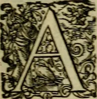 An illustration from Americae pars sexta, siue, Historiæ ab Hieronymo Bezono Mediolanese scriptæ, sectio tertia : res nõ minus nobiles & admiratione plenas continens, quàm præcedentes duæ : in hac enim reperies, qua ratione Hispani opuletissimas illas Peruäni regni prouincias occuparint, capto Rege Atabaliba : deide orta inter ipsos Hispanos in eo regno ciuilia bella : additus est breuis de fortunatis insulis cõmentariolus in duo capita distinctus : item additiones ad singula capita historiam illustrantes : accesit Perväni regni chorographica tabula ... : omnia elegantibus figuris in æs incisis expressa ; (1596)