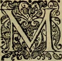 An illustration from Americae pars sexta, siue, Historiæ ab Hieronymo Bezono Mediolanese scriptæ, sectio tertia : res nõ minus nobiles & admiratione plenas continens, quàm præcedentes duæ : in hac enim reperies, qua ratione Hispani opuletissimas illas Peruäni regni prouincias occuparint, capto Rege Atabaliba : deide orta inter ipsos Hispanos in eo regno ciuilia bella : additus est breuis de fortunatis insulis cõmentariolus in duo capita distinctus : item additiones ad singula capita historiam illustrantes : accesit Perväni regni chorographica tabula ... : omnia elegantibus figuris in æs incisis expressa ; (1596)