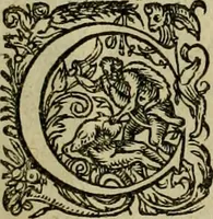 An illustration from Americae pars sexta, siue, Historiæ ab Hieronymo Bezono Mediolanese scriptæ, sectio tertia : res nõ minus nobiles & admiratione plenas continens, quàm præcedentes duæ : in hac enim reperies, qua ratione Hispani opuletissimas illas Peruäni regni prouincias occuparint, capto Rege Atabaliba : deide orta inter ipsos Hispanos in eo regno ciuilia bella : additus est breuis de fortunatis insulis cõmentariolus in duo capita distinctus : item additiones ad singula capita historiam illustrantes : accesit Perväni regni chorographica tabula ... : omnia elegantibus figuris in æs incisis expressa ; (1596)