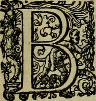 An illustration from Americae pars sexta, siue, Historiæ ab Hieronymo Bezono Mediolanese scriptæ, sectio tertia : res nõ minus nobiles & admiratione plenas continens, quàm præcedentes duæ : in hac enim reperies, qua ratione Hispani opuletissimas illas Peruäni regni prouincias occuparint, capto Rege Atabaliba : deide orta inter ipsos Hispanos in eo regno ciuilia bella : additus est breuis de fortunatis insulis cõmentariolus in duo capita distinctus : item additiones ad singula capita historiam illustrantes : accesit Perväni regni chorographica tabula ... : omnia elegantibus figuris in æs incisis expressa ; (1596)