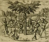 An illustration from Americae pars sexta, siue, Historiæ ab Hieronymo Bezono Mediolanese scriptæ, sectio tertia : res nõ minus nobiles & admiratione plenas continens, quàm præcedentes duæ : in hac enim reperies, qua ratione Hispani opuletissimas illas Peruäni regni prouincias occuparint, capto Rege Atabaliba : deide orta inter ipsos Hispanos in eo regno ciuilia bella : additus est breuis de fortunatis insulis cõmentariolus in duo capita distinctus : item additiones ad singula capita historiam illustrantes : accesit Perväni regni chorographica tabula ... : omnia elegantibus figuris in æs incisis expressa ; (1596)