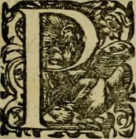 An illustration from Americae pars sexta, siue, Historiæ ab Hieronymo Bezono Mediolanese scriptæ, sectio tertia : res nõ minus nobiles & admiratione plenas continens, quàm præcedentes duæ : in hac enim reperies, qua ratione Hispani opuletissimas illas Peruäni regni prouincias occuparint, capto Rege Atabaliba : deide orta inter ipsos Hispanos in eo regno ciuilia bella : additus est breuis de fortunatis insulis cõmentariolus in duo capita distinctus : item additiones ad singula capita historiam illustrantes : accesit Perväni regni chorographica tabula ... : omnia elegantibus figuris in æs incisis expressa ; (1596)