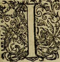 An illustration from Americae pars sexta, siue, Historiæ ab Hieronymo Bezono Mediolanese scriptæ, sectio tertia : res nõ minus nobiles & admiratione plenas continens, quàm præcedentes duæ : in hac enim reperies, qua ratione Hispani opuletissimas illas Peruäni regni prouincias occuparint, capto Rege Atabaliba : deide orta inter ipsos Hispanos in eo regno ciuilia bella : additus est breuis de fortunatis insulis cõmentariolus in duo capita distinctus : item additiones ad singula capita historiam illustrantes : accesit Perväni regni chorographica tabula ... : omnia elegantibus figuris in æs incisis expressa ; (1596)