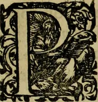 An illustration from Americae pars sexta, siue, Historiæ ab Hieronymo Bezono Mediolanese scriptæ, sectio tertia : res nõ minus nobiles & admiratione plenas continens, quàm præcedentes duæ : in hac enim reperies, qua ratione Hispani opuletissimas illas Peruäni regni prouincias occuparint, capto Rege Atabaliba : deide orta inter ipsos Hispanos in eo regno ciuilia bella : additus est breuis de fortunatis insulis cõmentariolus in duo capita distinctus : item additiones ad singula capita historiam illustrantes : accesit Perväni regni chorographica tabula ... : omnia elegantibus figuris in æs incisis expressa ; (1596)