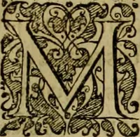 An illustration from Americae pars sexta, siue, Historiæ ab Hieronymo Bezono Mediolanese scriptæ, sectio tertia : res nõ minus nobiles & admiratione plenas continens, quàm præcedentes duæ : in hac enim reperies, qua ratione Hispani opuletissimas illas Peruäni regni prouincias occuparint, capto Rege Atabaliba : deide orta inter ipsos Hispanos in eo regno ciuilia bella : additus est breuis de fortunatis insulis cõmentariolus in duo capita distinctus : item additiones ad singula capita historiam illustrantes : accesit Perväni regni chorographica tabula ... : omnia elegantibus figuris in æs incisis expressa ; (1596)