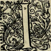 An illustration from Americae pars sexta, siue, Historiæ ab Hieronymo Bezono Mediolanese scriptæ, sectio tertia : res nõ minus nobiles & admiratione plenas continens, quàm præcedentes duæ : in hac enim reperies, qua ratione Hispani opuletissimas illas Peruäni regni prouincias occuparint, capto Rege Atabaliba : deide orta inter ipsos Hispanos in eo regno ciuilia bella : additus est breuis de fortunatis insulis cõmentariolus in duo capita distinctus : item additiones ad singula capita historiam illustrantes : accesit Perväni regni chorographica tabula ... : omnia elegantibus figuris in æs incisis expressa ; (1596)
