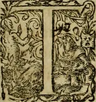An illustration from Americae pars sexta, siue, Historiæ ab Hieronymo Bezono Mediolanese scriptæ, sectio tertia : res nõ minus nobiles & admiratione plenas continens, quàm præcedentes duæ : in hac enim reperies, qua ratione Hispani opuletissimas illas Peruäni regni prouincias occuparint, capto Rege Atabaliba : deide orta inter ipsos Hispanos in eo regno ciuilia bella : additus est breuis de fortunatis insulis cõmentariolus in duo capita distinctus : item additiones ad singula capita historiam illustrantes : accesit Perväni regni chorographica tabula ... : omnia elegantibus figuris in æs incisis expressa ; (1596)