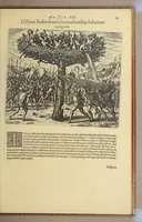 An illustration from Americae pars sexta. (1617)