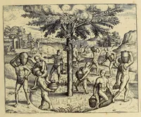 An illustration from Americae pars sexta. (1617)