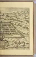 An illustration from Americae pars sexta. (1617)