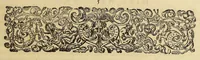 An illustration from Americae pars sexta. (1617)
