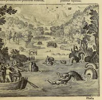 An illustration from Americae pars VIII. : Continens primo, Descriptionem trium itinerum nobilissimi et fortissimi equitis Francisci Draken, qui circumnauigato vniuerso terrarum orbe, postea copiis nauticis, ad expugnandum ciuitatem Panamam, in Indiam nauigauit. Secundo, iter nobilissimi equitis Thomae Candisch, qui duorum ferè annorum spacio, 13000. Anglicana miliaria in mari confecit, vbi describuntur quoque omnia quae in hoc itinere ipsi acciderunt & visa sunt. Tertio, duo itinera, nobilissimi & fortissimi equitis Gualtheri Ralech quibus describitur auriferum & potentissimum regnum Guiana, ad septentrionem fluminis Orenoque, alias Oregliana dicti, situm cum metropoli eius Manoa & Macuieguarai, aliisque finitimis regionibus & fluuis, mercibus item praestantissimis & mercatura, quae in regno hoc exercetur, cuius luculenta tabula geographica in fronte operis occurrit. (1625)