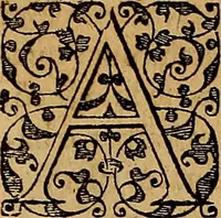 An illustration from Americae tertia pars : memorabile provinciæ Brasiliæ historiam contines (1592)