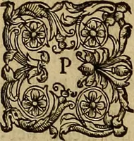 An illustration from Americae tertia pars : memorabile provinciæ Brasiliæ historiam contines (1592)