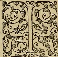 An illustration from Americae tertia pars : memorabile provinciæ Brasiliæ historiam contines (1592)