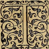 An illustration from Americae tertia pars : memorabile provinciæ Brasiliæ historiam contines (1592)