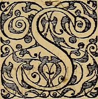 An illustration from Americae tertia pars : memorabile provinciæ Brasiliæ historiam contines (1592)