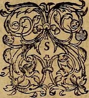 An illustration from Americae tertia pars : memorabile provinciæ Brasiliæ historiam contines (1592)
