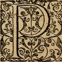 An illustration from Americae tertia pars : memorabile provinciæ Brasiliæ historiam contines (1592)