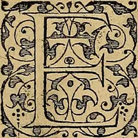 An illustration from Americae tertia pars : memorabile provinciæ Brasiliæ historiam contines (1592)