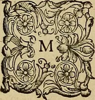 An illustration from Americae tertia pars : memorabile provinciæ Brasiliæ historiam contines (1592)