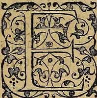 An illustration from Americae tertia pars : memorabile provinciæ Brasiliæ historiam contines (1592)