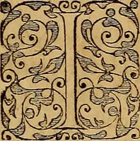 An illustration from Americae tertia pars : memorabile provinciæ Brasiliæ historiam contines (1592)