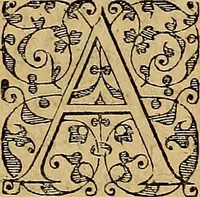 An illustration from Americae tertia pars : memorabile provinciæ Brasiliæ historiam contines (1592)