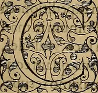 An illustration from Americae tertia pars : memorabile provinciæ Brasiliæ historiam contines (1592)