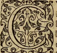 An illustration from Americae tertia pars : memorabile provinciæ Brasiliæ historiam contines (1592)