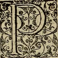 An illustration from Americae tertia pars : memorabile provinciæ Brasiliæ historiam contines (1592)
