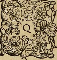 An illustration from Americae tertia pars : memorabile provinciæ Brasiliæ historiam contines (1592)
