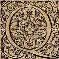 An illustration from Americae tertia pars : memorabile provinciæ Brasiliæ historiam contines (1592)