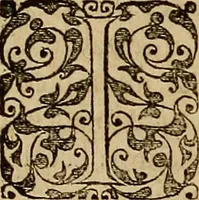 Picture 211 of 228 from Americae tertia pars : memorabile provinciæ Brasiliæ historiam contines (1592), leaf 255