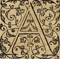 An illustration from Americae tertia pars : memorabile provinciæ Brasiliæ historiam contines (1592)