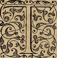 An illustration from Americae tertia pars : memorabile provinciæ Brasiliæ historiam contines (1592)