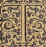 An illustration from Americae tertia pars : memorabile provinciæ Brasiliæ historiam contines (1592)