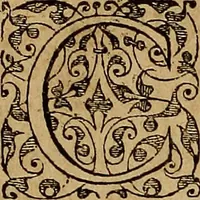 An illustration from Americae tertia pars : memorabile provinciæ Brasiliæ historiam contines (1592)
