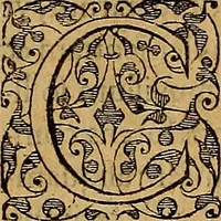 An illustration from Americae tertia pars : memorabile provinciæ Brasiliæ historiam contines (1592)