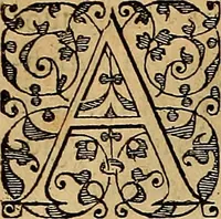 An illustration from Americae tertia pars : memorabile provinciæ Brasiliæ historiam contines (1592)