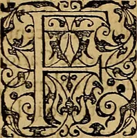 An illustration from Americae tertia pars : memorabile provinciæ Brasiliæ historiam contines (1592)