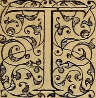 An illustration from Americae tertia pars : memorabile provinciæ Brasiliæ historiam contines (1592)