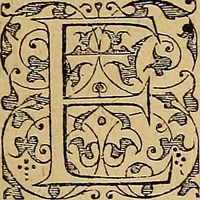 An illustration from Americae tertia pars : memorabile provinciæ Brasiliæ historiam contines (1592)