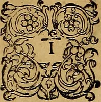 An illustration from Americae tertia pars : memorabile provinciæ Brasiliæ historiam contines (1592)