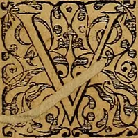 Picture 5 of 228 from Americae tertia pars : memorabile provinciæ Brasiliæ historiam contines (1592), leaf 8