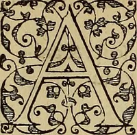 An illustration from Americae tertia pars : memorabile provinciæ Brasiliæ historiam contines (1592)